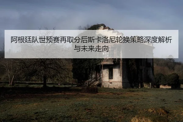 a-gen-ting-dui-shi-yu-sai-zai-qu-fen-hou-si-ka-luo-ni-lun-huan-ce-lve-shen-du-jie-xi-yu-wei-lai-zou-xiang-2-540.jpg
